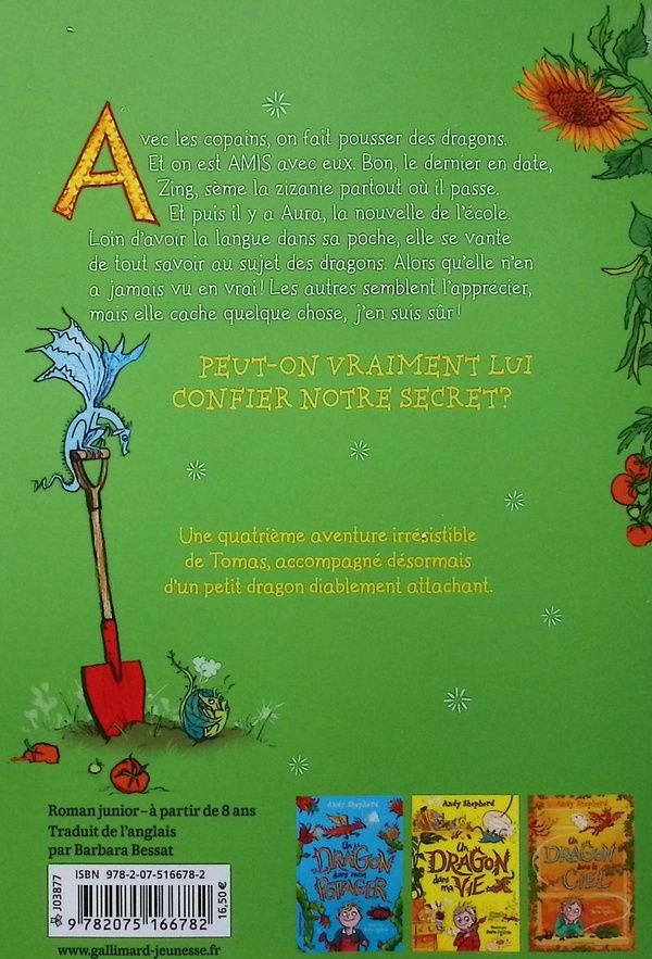 Quatrième de couverture de « Un dragon dans mes rêves »