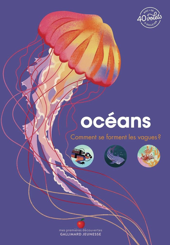 Couverture du livre « Océans : comment se forment les vagues ? » de Pauline Payen, librairie Les Contes Infusés à Corte