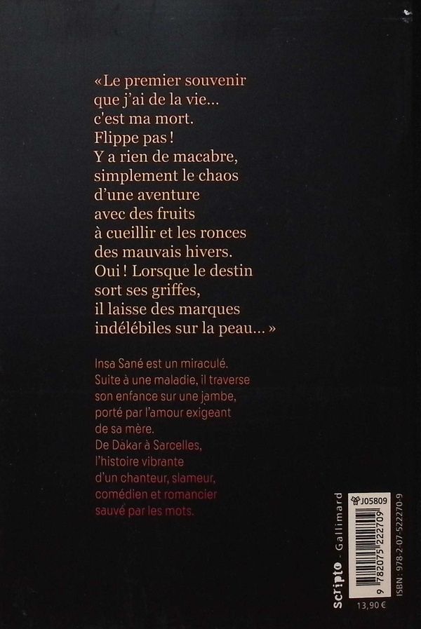 Quatrième de couverture de « Ma vie sur une jambe »