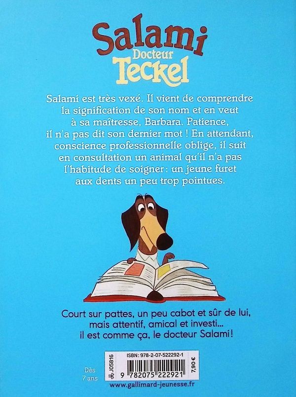 Quatrième de couverture de « Furet furieux »
