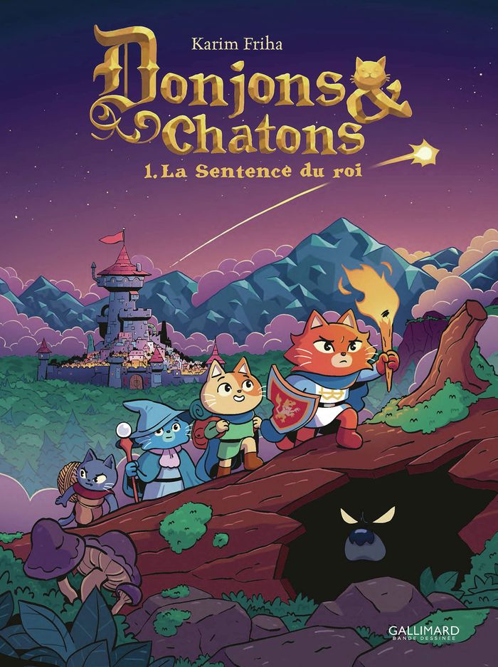 Couverture du livre « DONJONS ET CHATONS -1- » de Karim Friha, librairie Les Contes Infusés à Corte