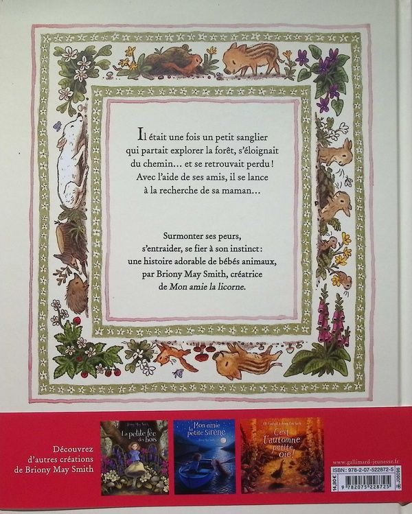 Quatrième de couverture de « MON PETIT SANGLIER »