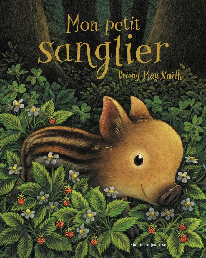 Couverture du livre « MON PETIT SANGLIER », librairie Les Contes Infusés à Corte