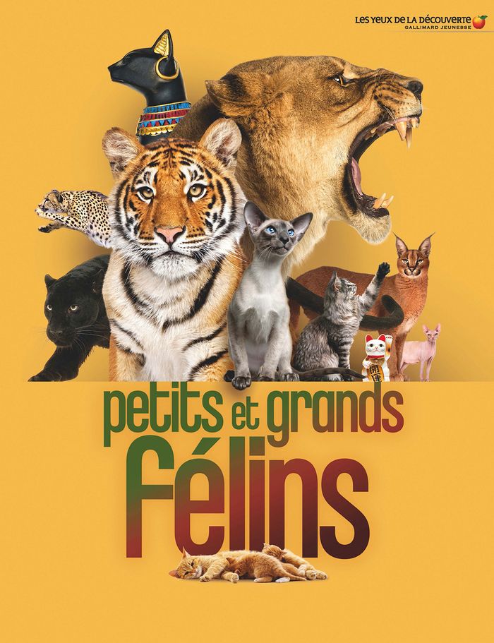 Couverture du livre « Petits et grands félins » de [auteur, librairie Les Contes Infusés à Corte