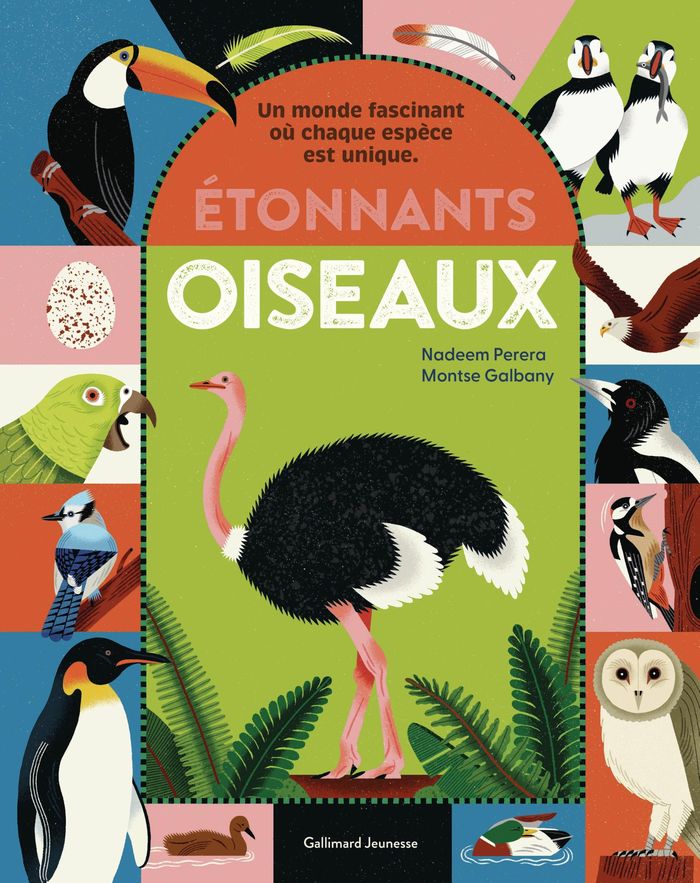 Couverture du livre « ETONNANTS OISEAUX » de Nadeem Perera, librairie Les Contes Infusés à Corte