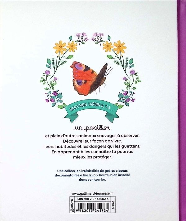 Quatrième de couverture de « Un papillon »