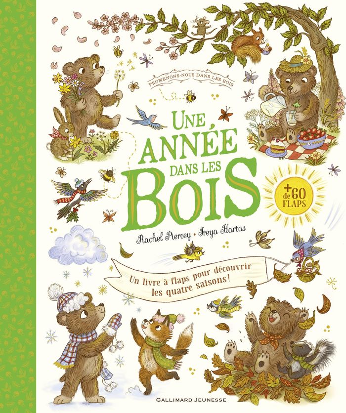 Couverture : PROMENONS-NOUS DANS LES BOIS - UNE ANNEE DANS LES BOIS - UN LIVRE A FLAPS POUR DECOUVRIR LES QUATRE