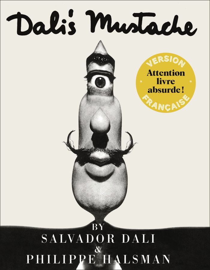 Couverture du livre « DALI'S MUSTACHE - UNE INTERVIEW PHOTOGRAPHIQUE », librairie Les Contes Infusés à Corte