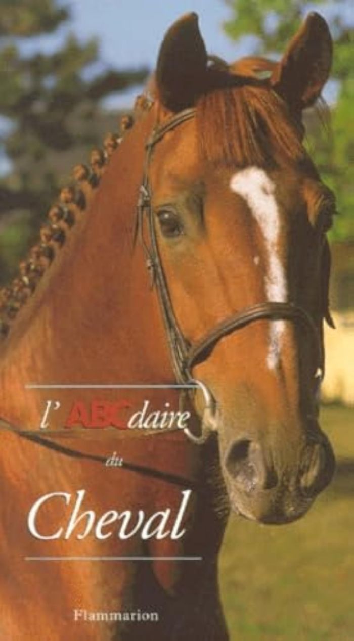 Couverture du livre « L'ABCDAIRE DU CHEVAL - VOL78 » de Collectif, librairie Les Contes Infusés à Corte