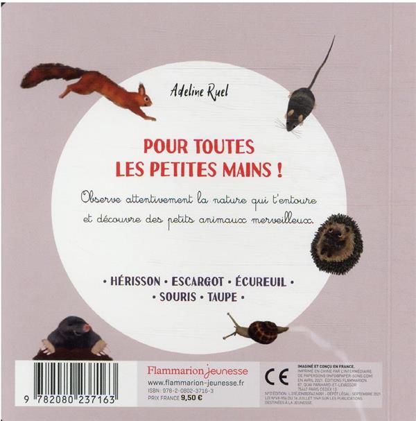 Quatrième de couverture de « Les petits animaux de mon jardin »