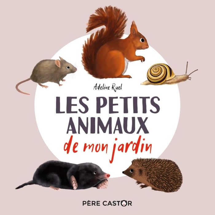 Couverture du livre « Les petits animaux de mon jardin » de Adeline Ruel, librairie Les Contes Infusés à Corte