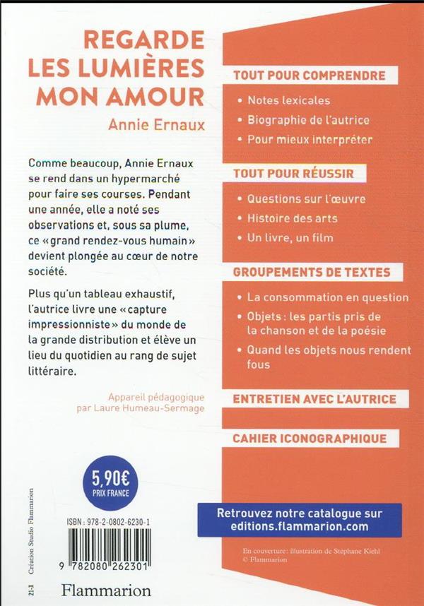 Quatrième de couverture de « Regarde les lumières mon amour »