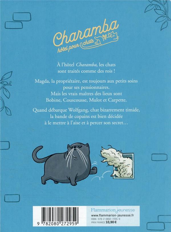 Quatrième de couverture de « Bobine s'en mêle »