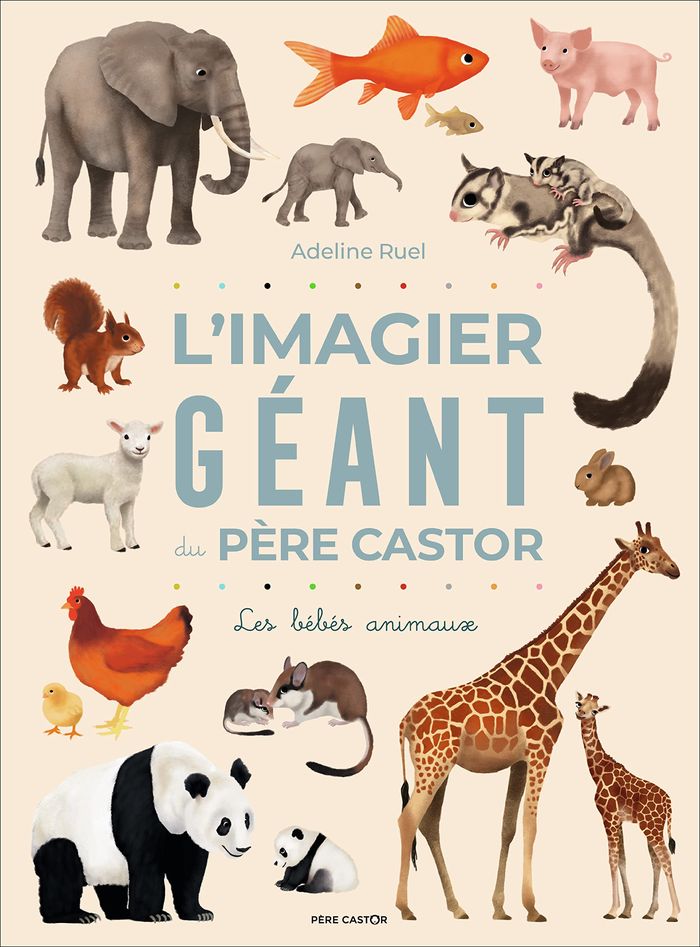 Couverture du livre « L'imagier géant du Père Castor : les bébés animaux », librairie Les Contes Infusés à Corte