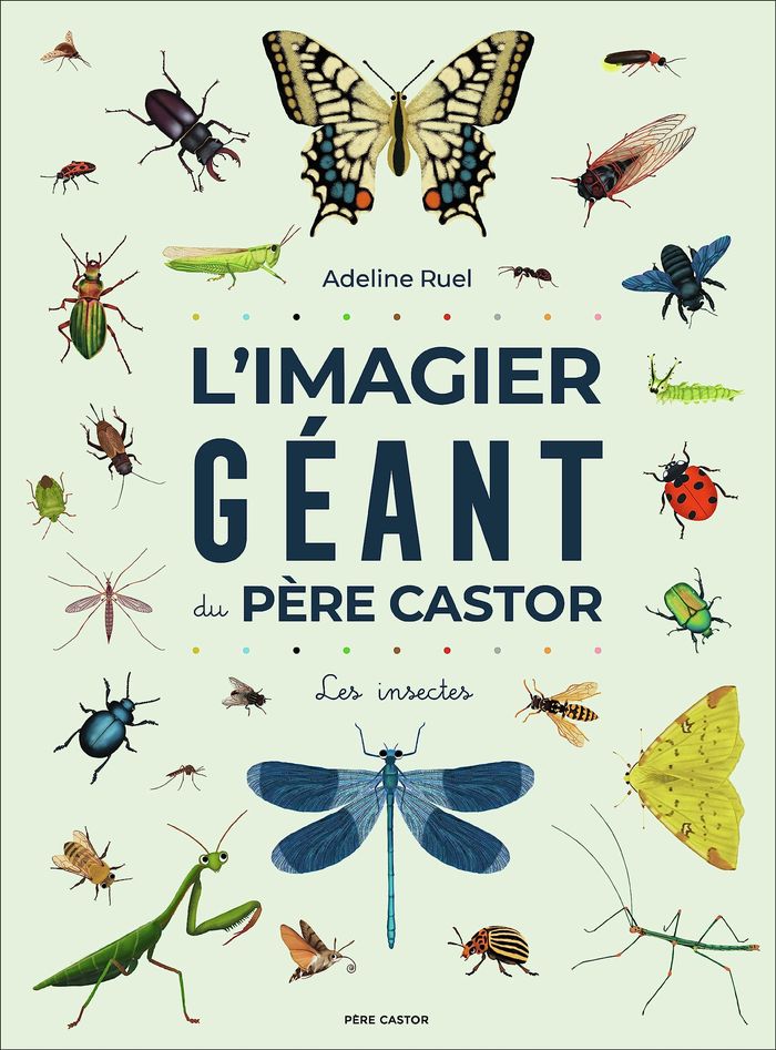 Couverture du livre « Les insectes » de Adeline Ruel, librairie Les Contes Infusés à Corte