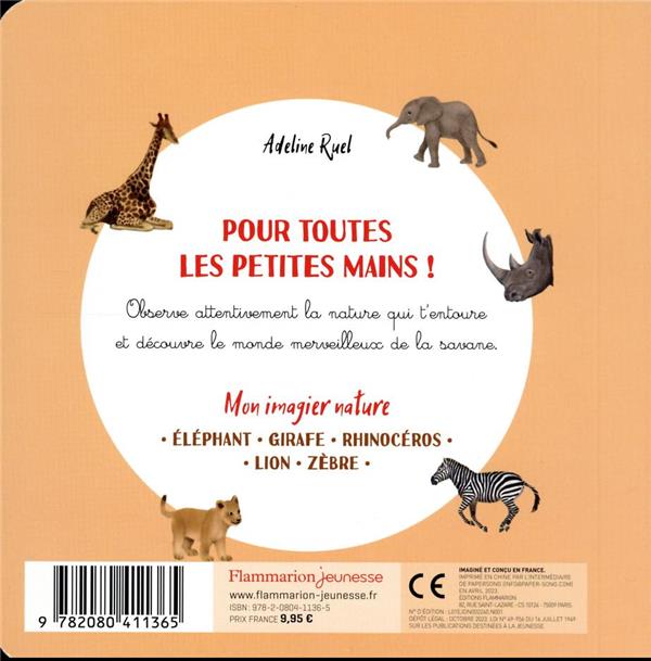 Quatrième de couverture de « La savane »