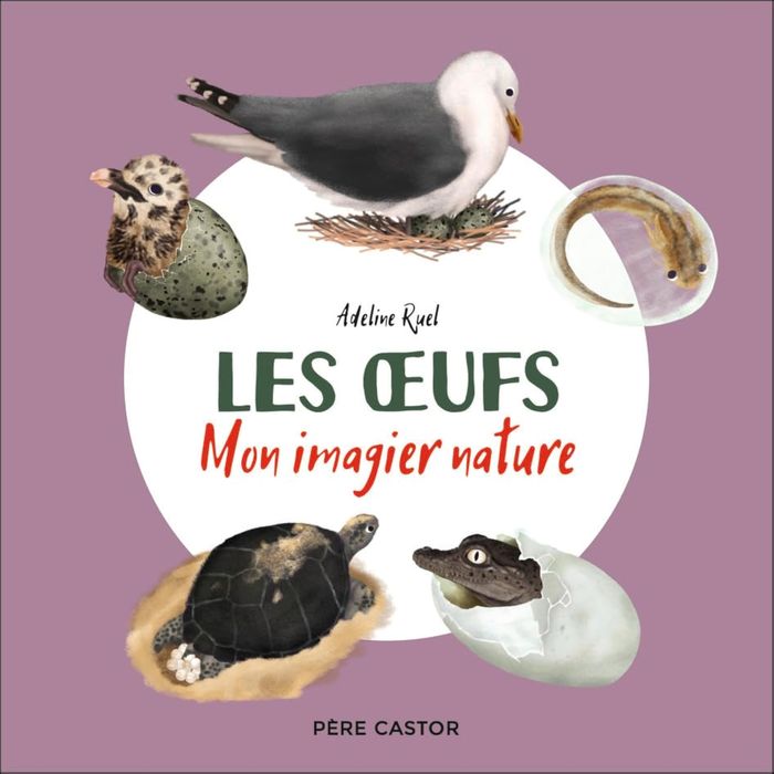 Couverture du livre « Les oeufs » de Adeline Ruel, librairie Les Contes Infusés à Corte