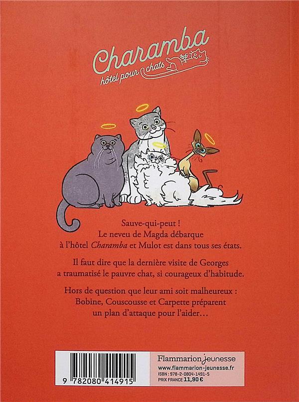 Quatrième de couverture de « Chat va chauffer »