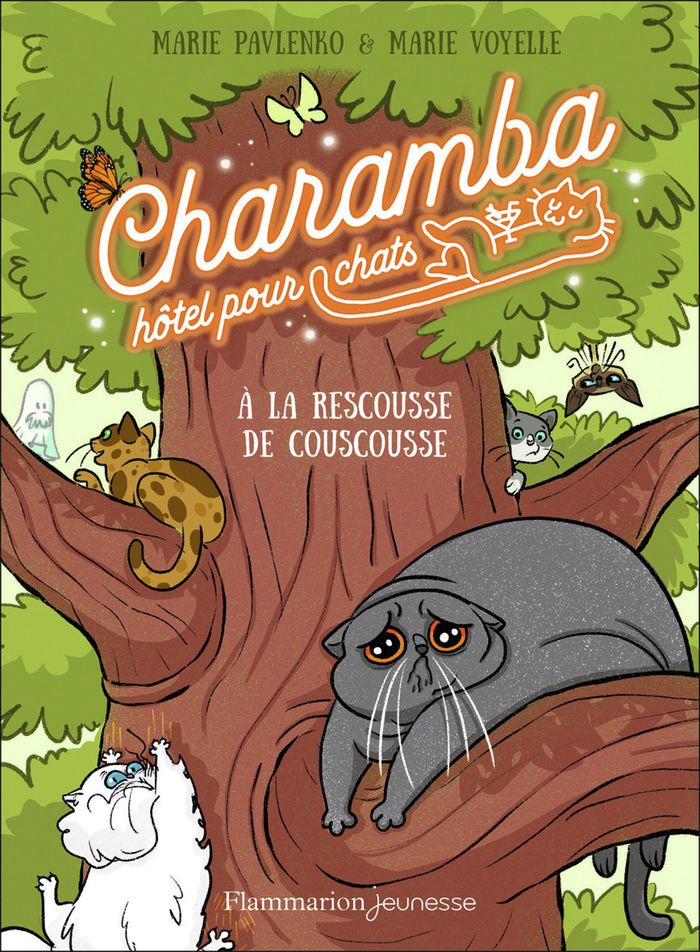 Couverture du livre « À la rescousse de Couscousse » de Marie Pavlenko, librairie Les Contes Infusés à Corte