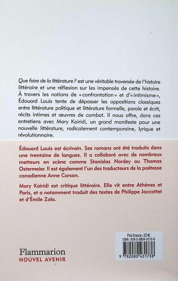 Quatrième de couverture de « Que faire de la littérature ? : méditations et manifeste »