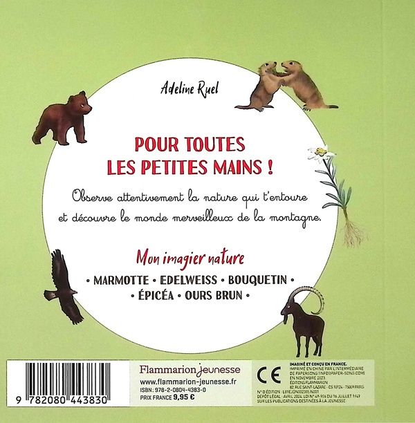Quatrième de couverture de « La montagne »