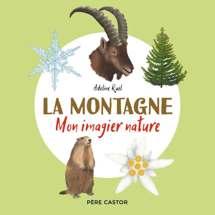 Couverture du livre « La montagne » de Adeline Ruel, librairie Les Contes Infusés à Corte