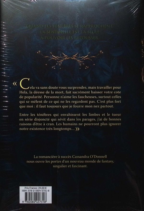 Quatrième de couverture de « La sentinelle »