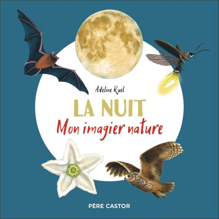 Couverture du livre « La nuit » de Adeline Ruel, librairie Les Contes Infusés à Corte