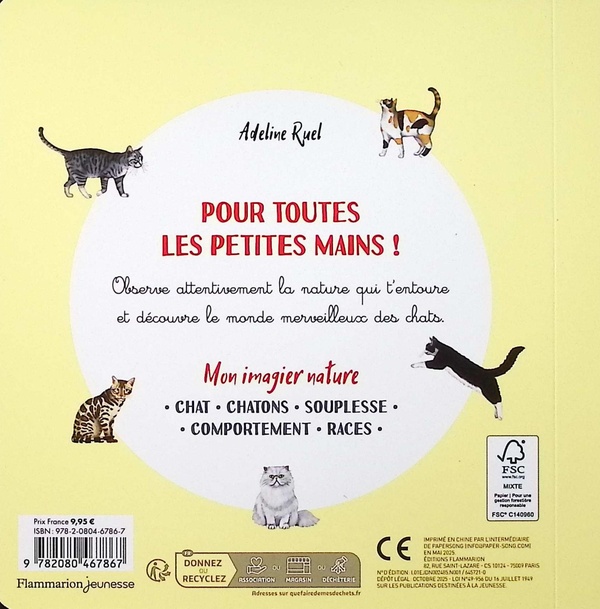 Quatrième de couverture de « Le chat »