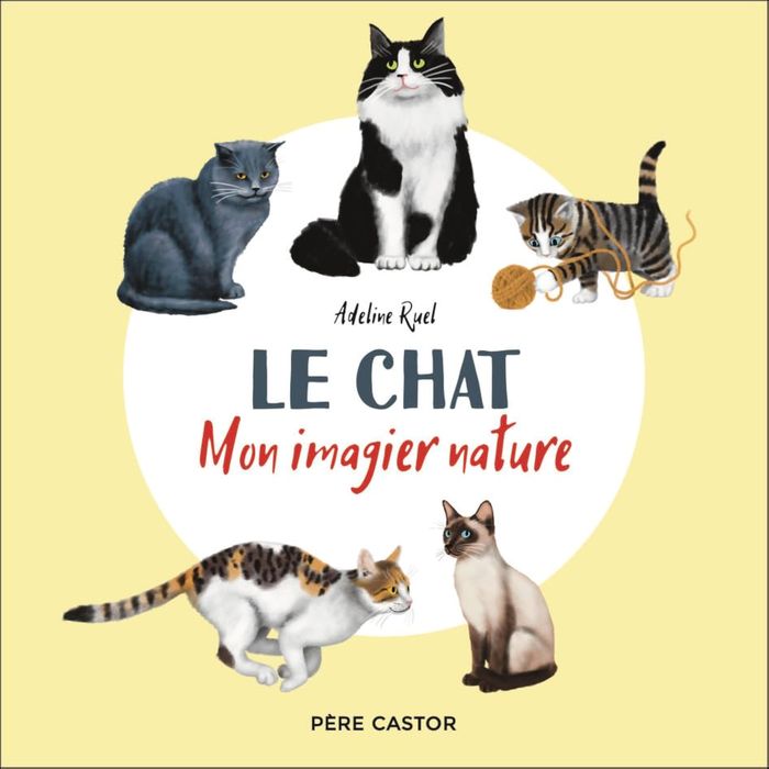 Couverture du livre « Le chat » de Adeline Ruel, librairie Les Contes Infusés à Corte