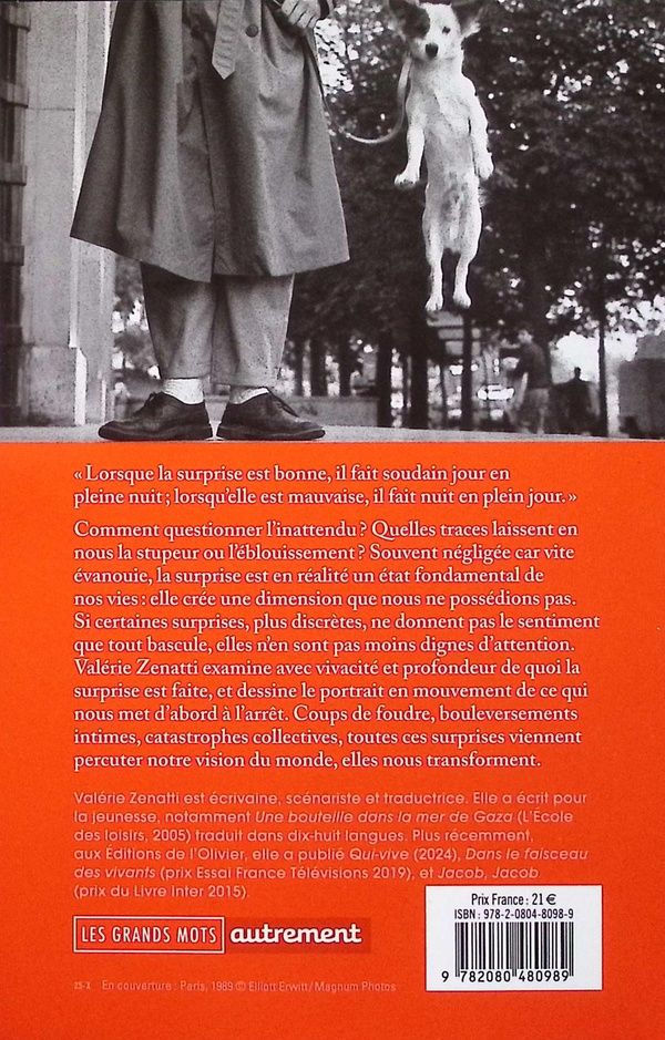 Quatrième de couverture de « La surprise : une innocence renouvelée »