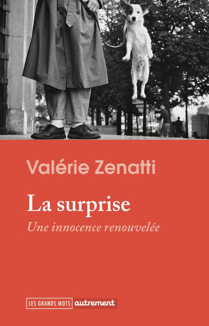 Couverture du livre « La surprise : une innocence renouvelée » de Valérie Zenatti, librairie Les Contes Infusés à Corte