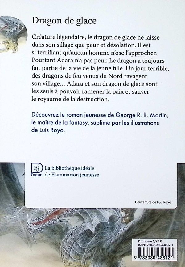 Quatrième de couverture de « Dragon de glace »