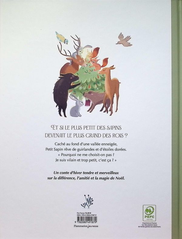 Quatrième de couverture de « Le roi des forêts »