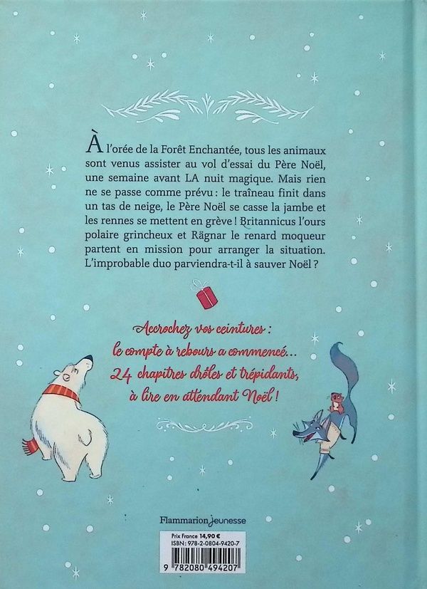 Quatrième de couverture de « Opération Santa : un roman de Noël en 24 chapitres »