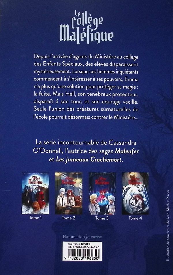 Quatrième de couverture de « La fille du chaos »