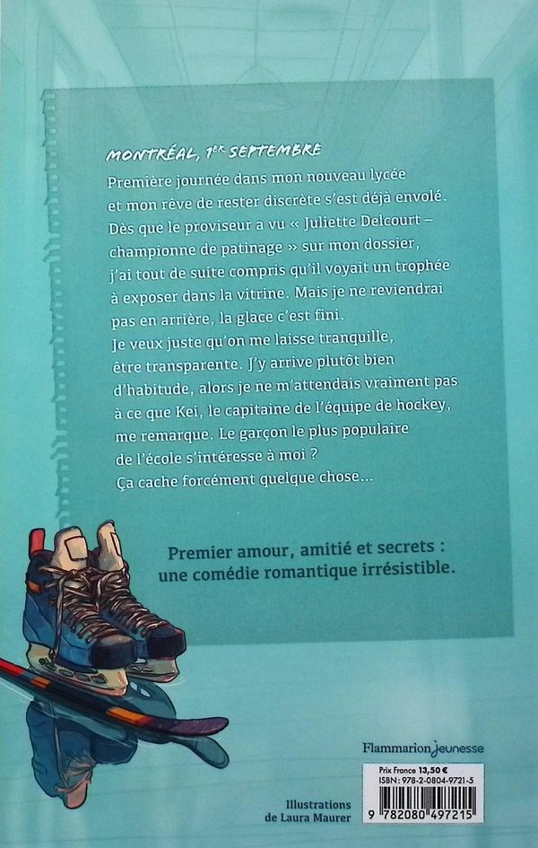 Quatrième de couverture de « Journal d'un crush »