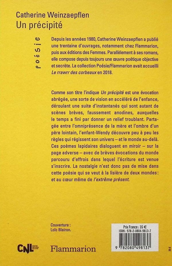 Quatrième de couverture de « Un précipité »