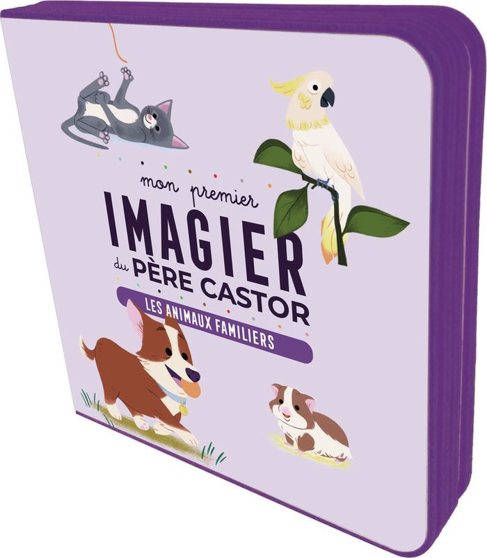 Couverture du livre « Les animaux familiers » de Collectif, librairie Les Contes Infusés à Corte