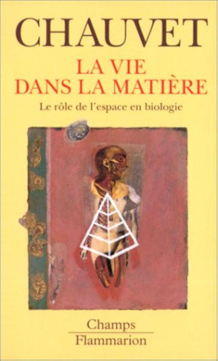 Couverture du livre « LA VIE DANS LA MATIERE - LE ROLE DE L'ESPACE EN BIOLOGIE » de Gilbert Chauvet, librairie Les Contes Infusés à Corte