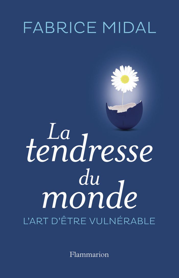 Couverture du livre « La tendresse du monde : l'art de la vulnérabilité » de Fabrice Midal, librairie Les Contes Infusés à Corte
