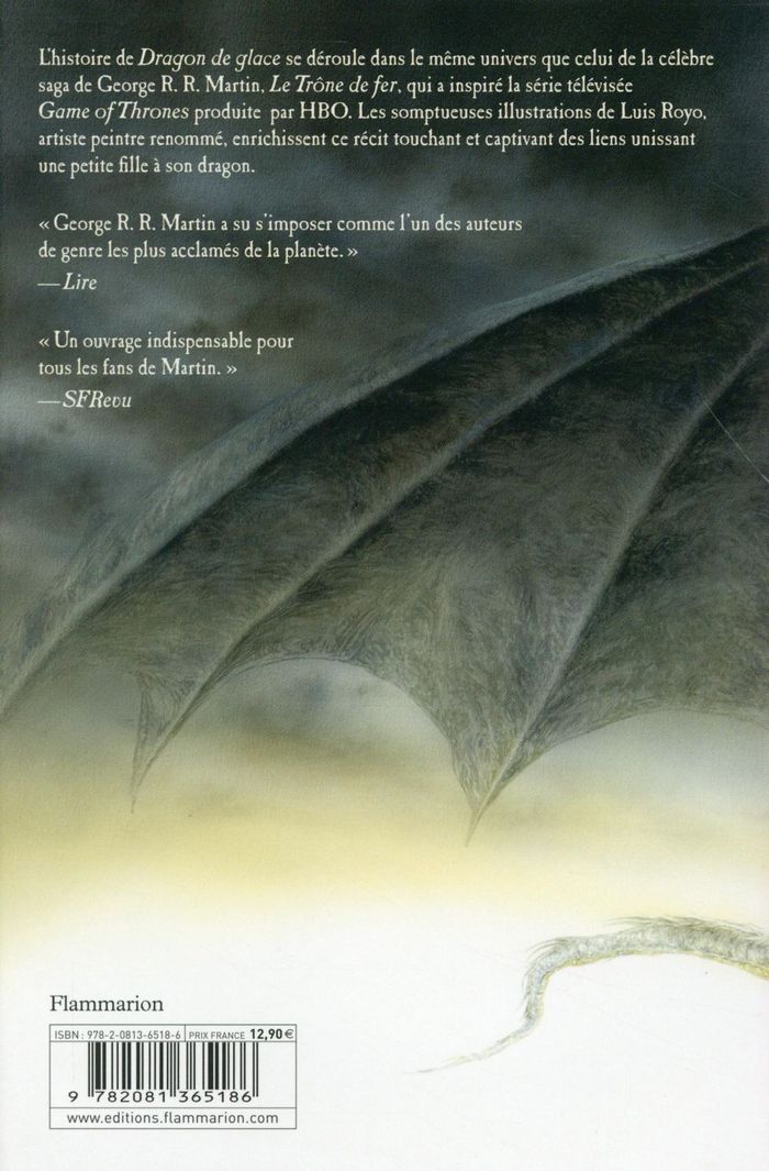 Quatrième de couverture de « Dragon de glace »
