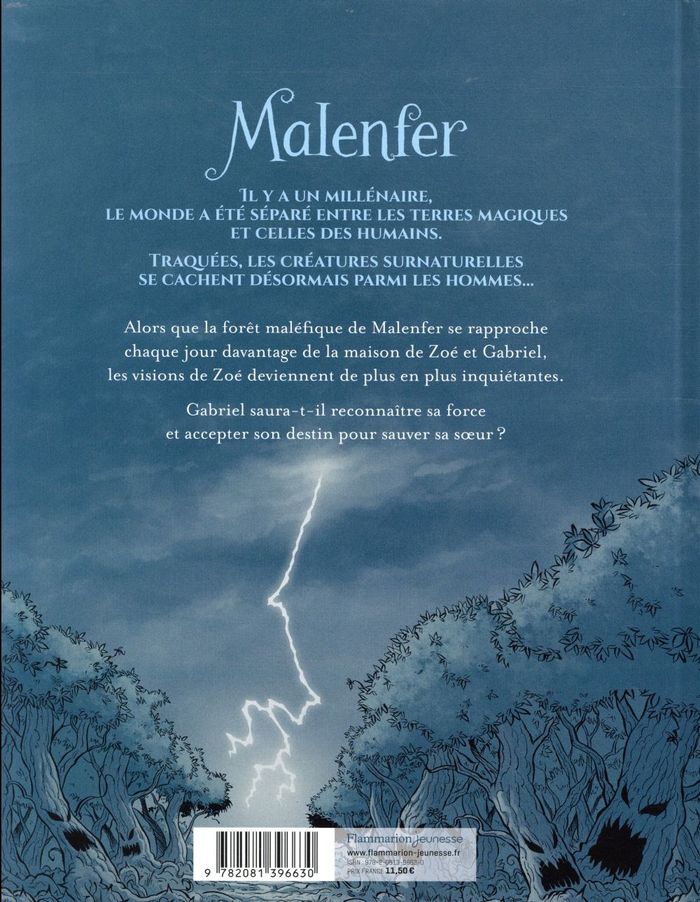 Quatrième de couverture de « La forêt des ténèbres »