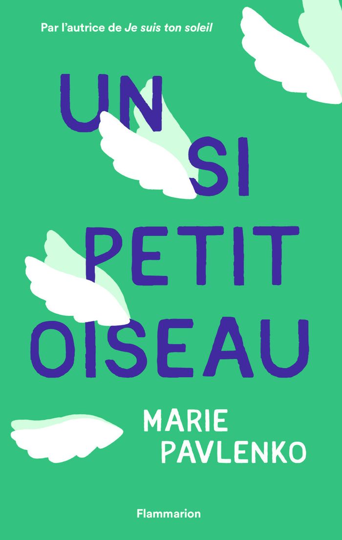 Couverture du livre « Un si petit oiseau » de Marie Pavlenko, librairie Les Contes Infusés à Corte
