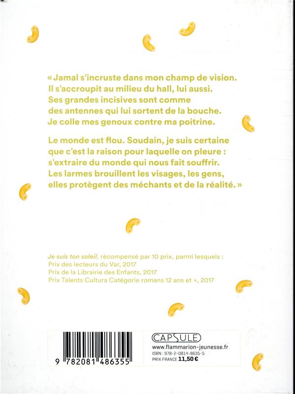 Quatrième de couverture de « Je suis ton soleil »