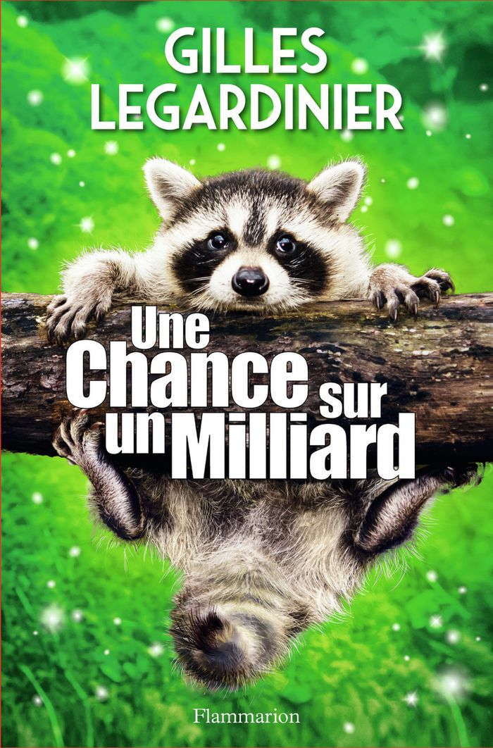 Couverture du livre « Une chance sur un milliard : roman » de Gilles Legardinier, librairie Les Contes Infusés à Corte