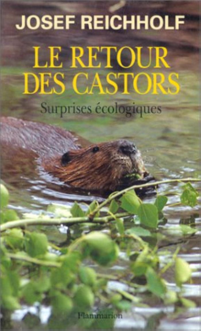 Couverture du livre « LE RETOUR DES CASTORS - SURPRISES ECOLOGIQUES » de Josef Reichholf, librairie Les Contes Infusés à Corte