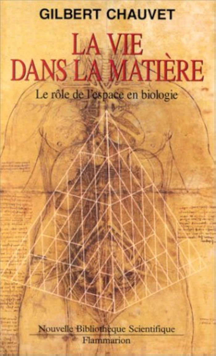 Couverture du livre « LA VIE DANS LA MATIERE - LE ROLE DE L'ESPACE EN BIOLOGIE » de Gilbert Chauvet, librairie Les Contes Infusés à Corte