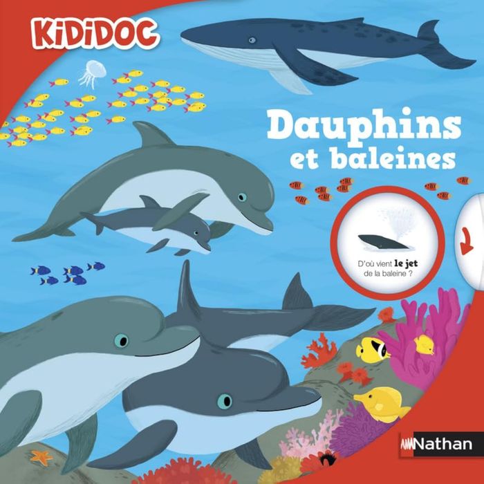 Couverture du livre « Dauphins et baleines » de Sylvie Baussier, librairie Les Contes Infusés à Corte