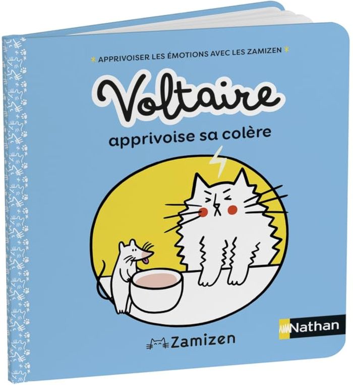 Couverture du livre « Voltaire apprivoise sa colère » de Marc Singer, librairie Les Contes Infusés à Corte
